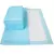 Fraldas absorventes descartáveis para cães, Puppy Training Pee Pads, Quick Dry Surface Mat, Almofada Limpa, Dog Supplies, 100, 50, 40, 20Pcs. - loja online
