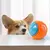 Imagem do Bola Mordedor Interativa para Cães – Brinquedo de TPR Macio com Apito | Resistente à Mordida e Ideal para Limpeza dos Dentes