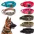 Conjunto de Coleira Tática para Cães Grandes – Nylon Reforçado, Reflexiva e Ideal para Treinamento.