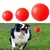 Bola de Borracha Sólida Indestrutível para Cães – Brinquedo Resistente para Mastigação e Treinamento | Ideal para Filhotes e Cães de Grande Porte. na internet