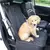 Bolsa de Transporte para Carro com Assento Elevado – Impermeável, Dobrável e com Tela de Segurança | Ideal para Cães Pequenos e Gatos. na internet