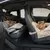 Bolsa Transportadora de Luxo 3 em 1 para Pets – Assento de Carro, Cama de Viagem e Bolsa Portátil | Para Cães Pequenos e Gatos. - loja online