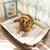 Imagem do Cama Portátil e Confortável para Pets – Canil Aconchegante para Cães Pequenos, Médios e Grandes.