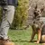Coleira Tática Militar Ajustável com Guia de Nylon – Ideal para Cães Médios e Grandes. - comprar online