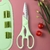 Kit 4 Peças Cozinha Tábua Faca Tesoura Descascador Luatek - comprar online