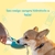 Garrafa portátil 280ml para passeios. - Luna pets planet