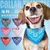 Coleiras Bandana para Gatos e Cães Pequenos na internet