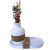 Kit Vaso Lumière + Bandeja Lumière - comprar online