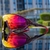 FFOrder Outdoor Cycling Glasses Bicycle Anti-Wind And Sand Goggles - comprar online
