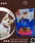 Cat Chow Gatitos x 15 kg