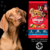 DOGUI CACHORRO X 21 KG