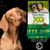 NUTRIBON XQ PERROS ADULTOS X 20 KG