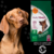 NUTRIBON PLUS PERROS CRIADORES x 20 KG