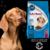 NUTRIBON PLUS PERROS CACHORROS X 15 KG