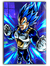 Cuadro - Poster Metalico (20x30cm) Dragon Ball - Vegeta - comprar online