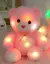 Ursinho de Pelúcia LED com Luzes Coloridas - Exclusiva Shop