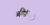 Banner de Exclusiva Shop