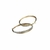 Brinco Argola com Brilho - loja online
