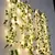 Luzes Decorativas em Cordão com Flor Verde – Decoração de Casa - comprar online