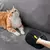 Imagem do Luvas removedoras de pelos de pets