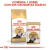 Royal Canin Persian - comprar online