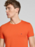 Camiseta Tommy Hilfiger Clássica Gola C na internet