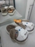 Pantufla Perro en internet