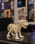 Cachorro esqueleto - comprar online