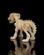 Cachorro esqueleto - loja online