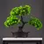 Planta Artificial Bonsai de Pinho – 27cm na internet