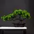 Planta Artificial Bonsai de Pinho – 27cm - loja online