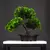 Planta Artificial Bonsai de Pinho – 27cm na internet