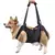 CINTO DE SUPORTE PARA CÃES – ARNÊS DE CORPO INTEIRO COM ALÇA AJUSTÁVEL - loja online
