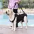 Imagem do CINTO DE SUPORTE PARA CÃES – ARNÊS DE CORPO INTEIRO COM ALÇA AJUSTÁVEL
