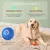 BOLA INTELIGENTE PARA CÃES – ENTRETENIMENTO E EXERCÍCIO EM UM SÓ BRINQUEDO