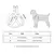 ARNÊS DE COURO PERSONALIZADO COM NOME – IDENTIFICAÇÃO EXCLUSIVA PARA SEU ANIMAL DE ESTIMAÇÃO - PetMimo