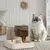 ALIMENTADOR AUTOMÁTICO 2 EM 1 PARA GATOS E CÃES – TIGELA DE COMIDA COM FONTE DE ÁGUA INTEGRADA