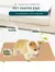 ALMOFADA HIGIÊNICA LAVÁVEL PARA CÃES – IDEAL PARA TREINAMENTO DE FILHOTES na internet
