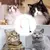 BRINQUEDO TEASER PARA GATOS – VARA INTERATIVA COM SINO E BASE COM VENTOSA PARA FIXAÇÃO EM QUALQUER SUPERFÍCIE, PROMOVENDO DIVERSÃO EMOCIONANTE - PetMimo