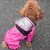 JAQUETA IMPERMEÁVEL E RESPIRÁVEL PARA CÃES – ROUPAS FUNCIONAIS PARA PETS