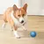 Imagem do BOLA INTELIGENTE PARA CÃES – ENTRETENIMENTO E EXERCÍCIO EM UM SÓ BRINQUEDO