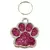 PLAQUINHA PERSONALIZADA PARA PET EM AÇO INOX – COM NOME E CONTATO - comprar online