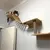 PONTE ESCADA DE MADEIRA COM CORDA DE SISAL PARA GATOS – MOBILIÁRIO PET - loja online