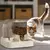 ALIMENTADOR AUTOMÁTICO 2 EM 1 PARA GATOS E CÃES – TIGELA DE COMIDA COM FONTE DE ÁGUA INTEGRADA - comprar online