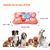 QUEBRA-CABEÇA INTERATIVO PARA CÃES – DIVERSÃO E ESTIMULO - comprar online