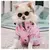 Capa de Chuva Pet Fashion na internet
