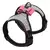 Glow Charm Pet - comprar online