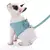 Pet Belle Fashion