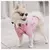 Capa de Chuva Pet Fashion - comprar online