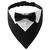 Gravatinha DogLord - comprar online